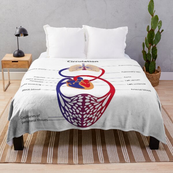 Item preview, Circulatory System Diagram  designed and sold by Weird-Artss.