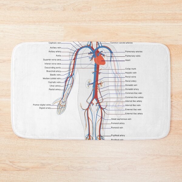 Item preview, Circulatory System Diagram  designed and sold by Weird-Artss.