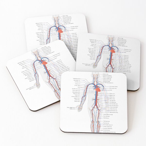 Item preview, Circulatory System Diagram  designed and sold by Weird-Artss.