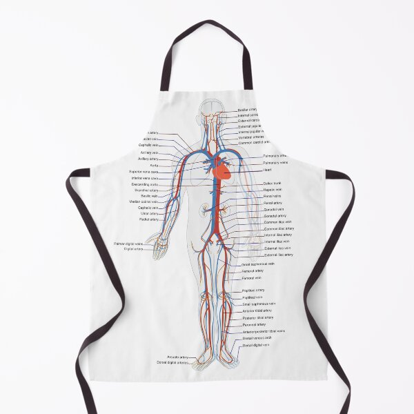 Item preview, Circulatory System Diagram  designed and sold by Weird-Artss.