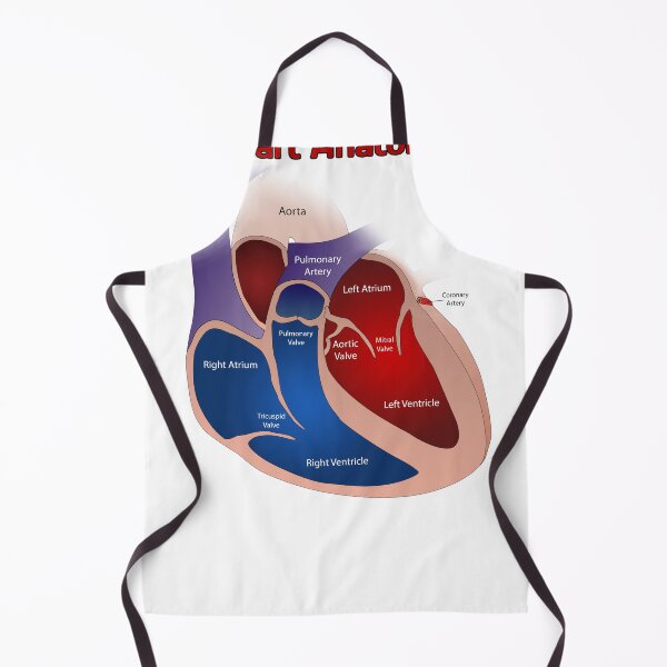 Item preview, Heart Anatomy Knowledge  designed and sold by Weird-Artss.