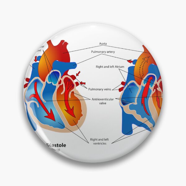 Item preview, Heart Pumping Knowledge  designed and sold by Weird-Artss.