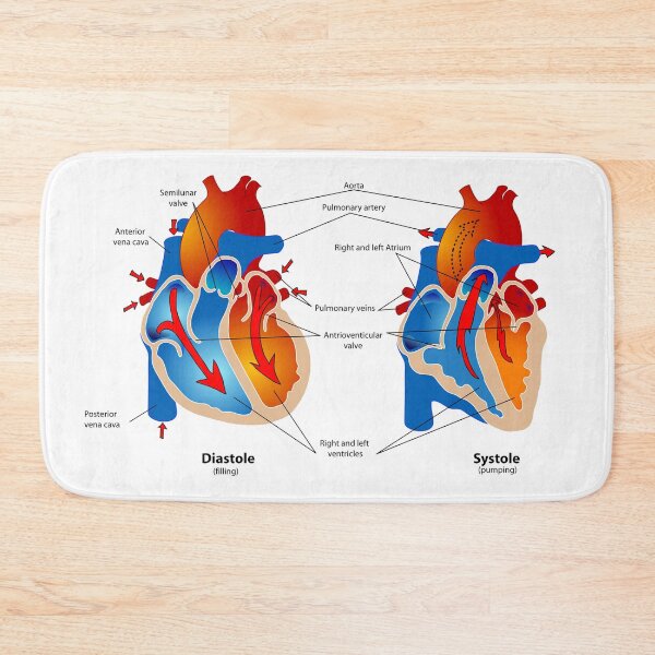 Item preview, Heart Pumping Knowledge  designed and sold by Weird-Artss.