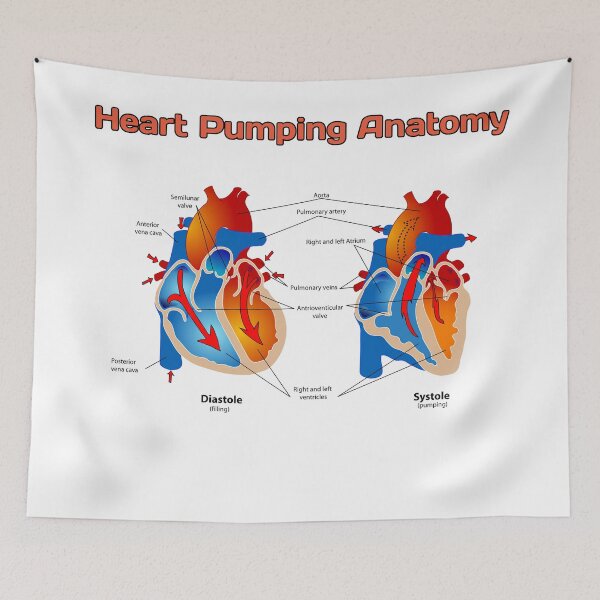Item preview, Heart Pumping Knowledge  designed and sold by Weird-Artss.