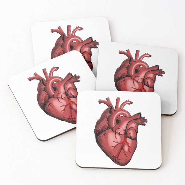 Item preview, Heart Anatomy Knowledge  designed and sold by Weird-Artss.