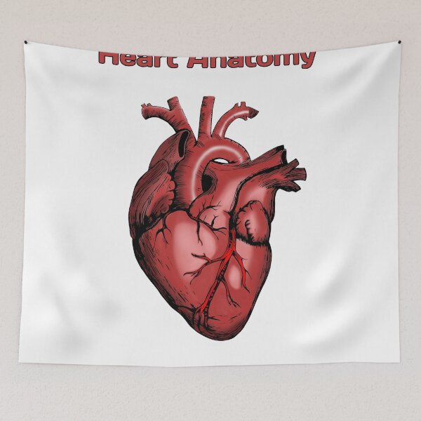 Item preview, Heart Anatomy Knowledge  designed and sold by Weird-Artss.