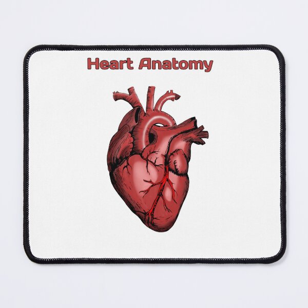 Item preview, Heart Anatomy Knowledge  designed and sold by Weird-Artss.