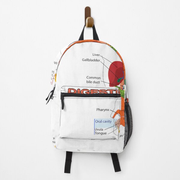 Item preview, Digestive System Diagram designed and sold by Weird-Artss.