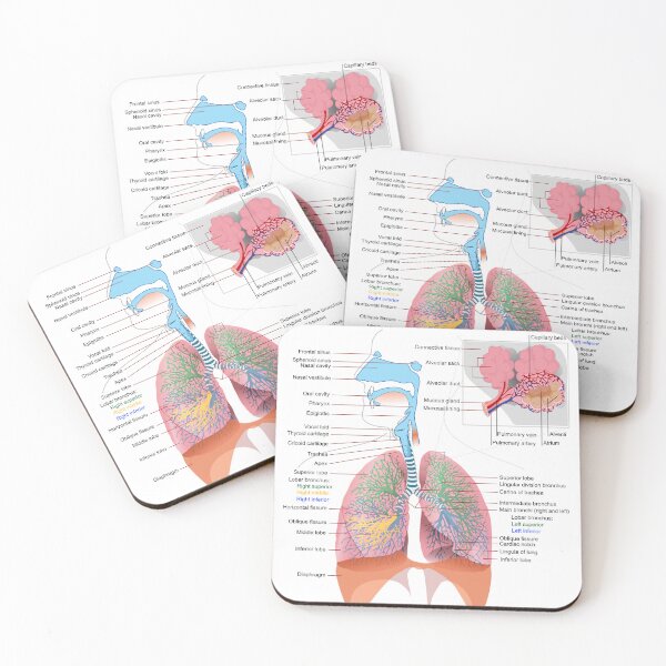 Item preview, Breathing System Diagram  designed and sold by Weird-Artss.
