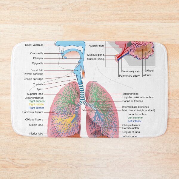 Item preview, Breathing System Diagram  designed and sold by Weird-Artss.