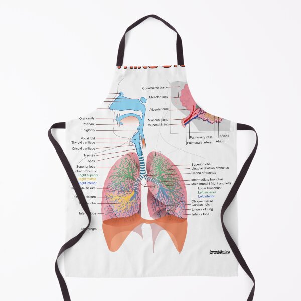 Item preview, Breathing System Diagram designed and sold by Weird-Artss.
