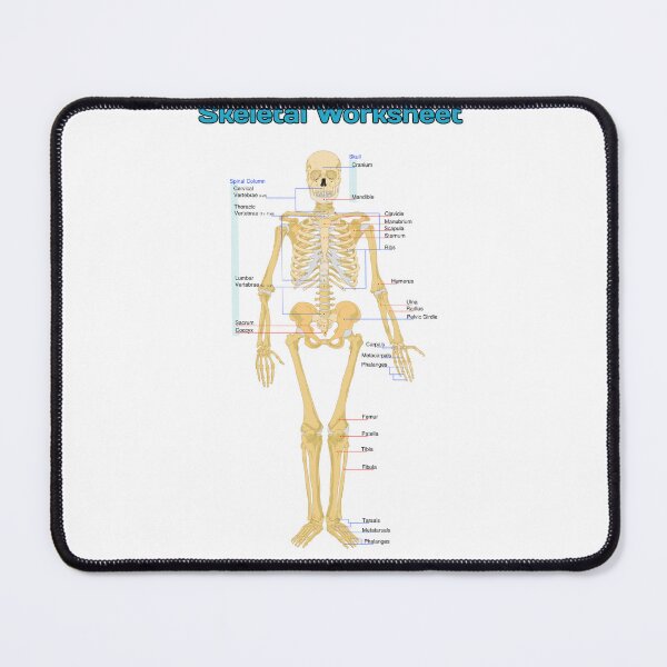 Item preview, Skeletal Human Worksheet designed and sold by Weird-Artss.