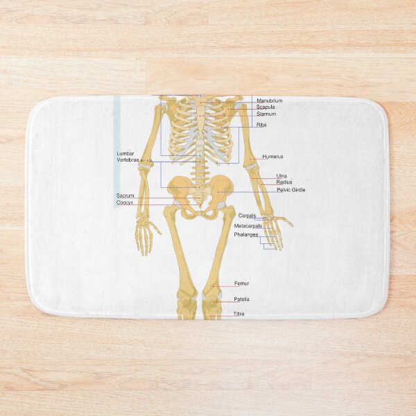 Item preview, Skeletal Human Worksheet  designed and sold by Weird-Artss.