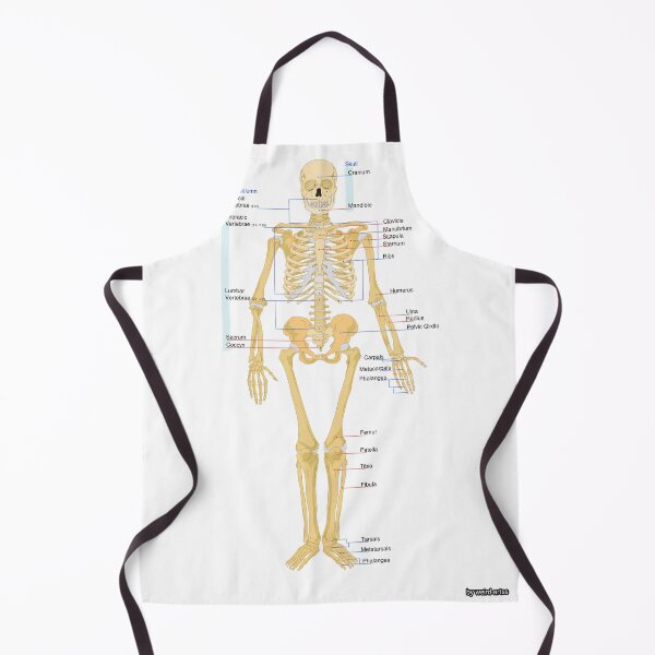 Item preview, Skeletal Human Worksheet designed and sold by Weird-Artss.