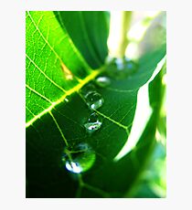 Marching Drops Photographic Print