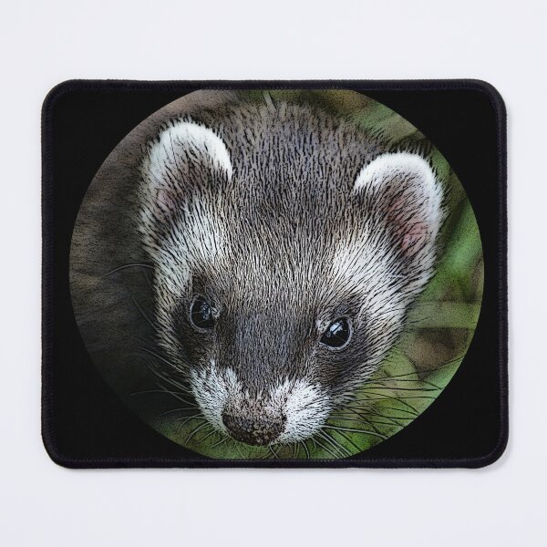 Item preview, Ferret Dad designed and sold by Brad Chambers.