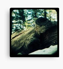 Ttv: Fallen Canvas Print