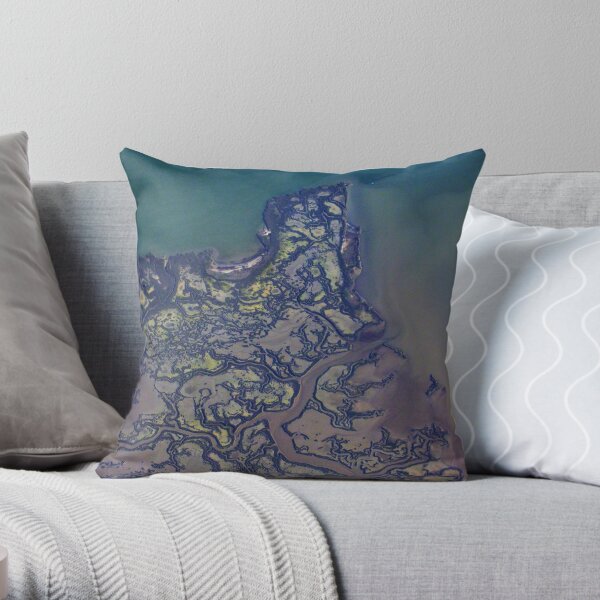 ...this is not Japan Throw Pillow