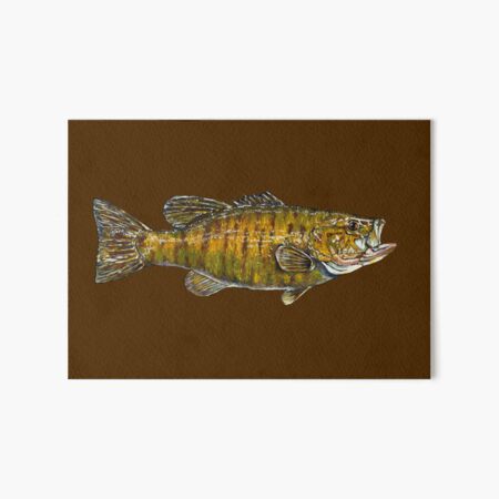 Classic Mackerel Danny Plug  Art Board Print for Sale by Noah357