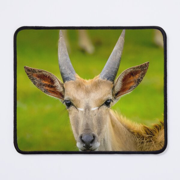 Item preview, Eland Antelope Portrait designed and sold by Susan Rydberg.