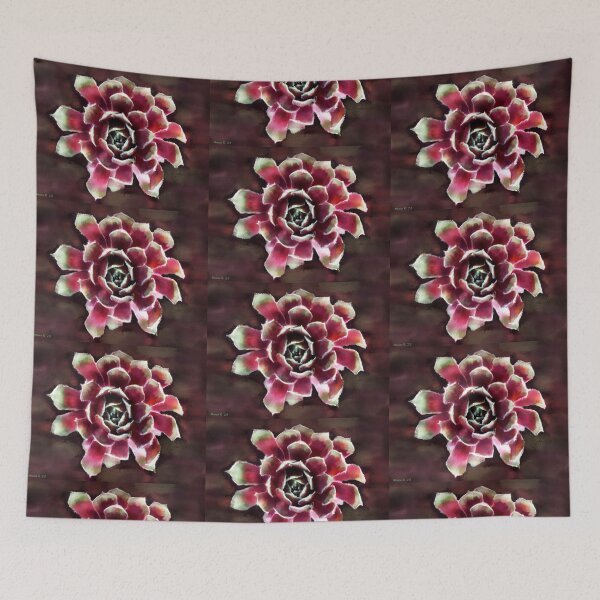 Item preview, Sempervivum Hens n Chicks Succulent designed and sold by oceanlady65.