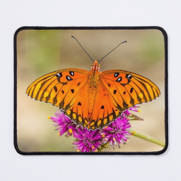 Item preview, Gulf Fritillary Portrait designed and sold by Susan Rydberg.