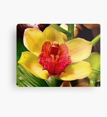 flowers for you Metal Print