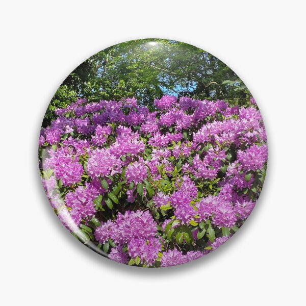 Item preview, Rhododendron in full bloom designed and sold by Violaman.