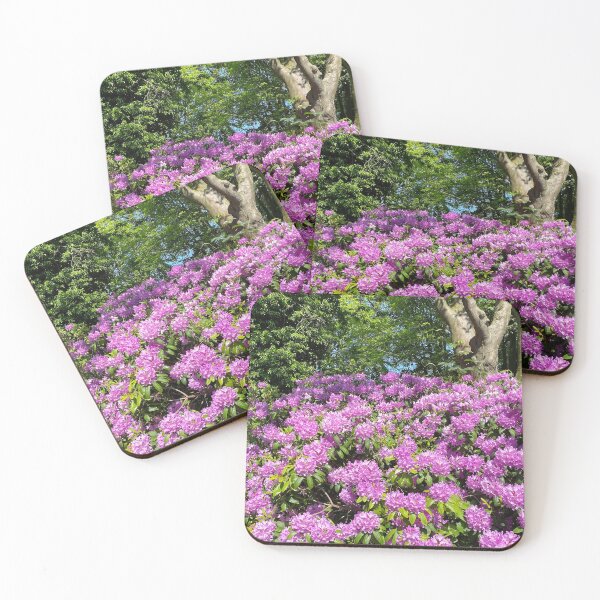 Item preview, Rhododendron in full bloom designed and sold by Violaman.