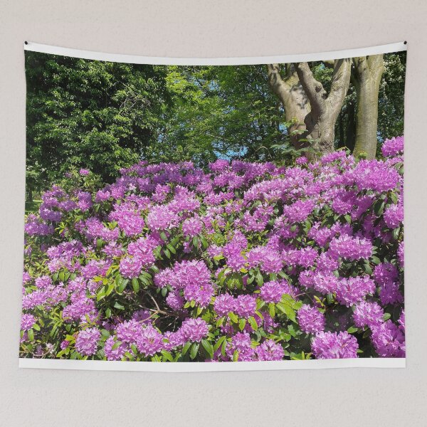 Item preview, Rhododendron in full bloom designed and sold by Violaman.