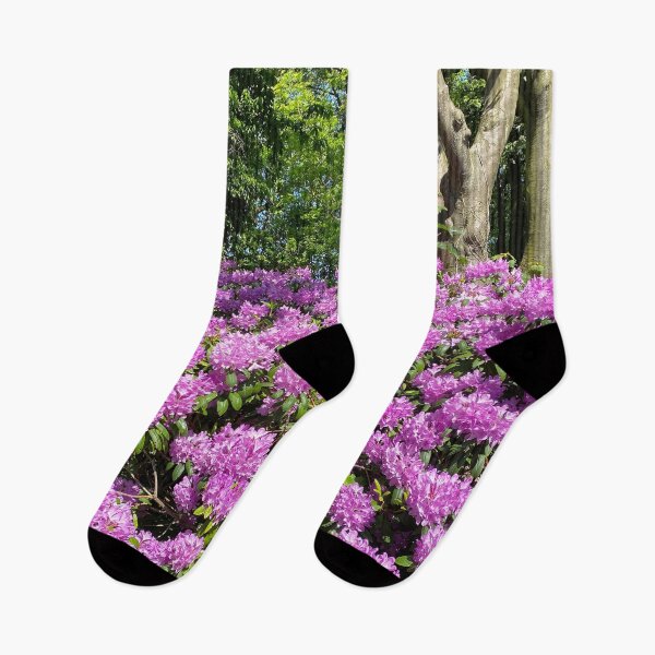 Item preview, Rhododendron in full bloom designed and sold by Violaman.