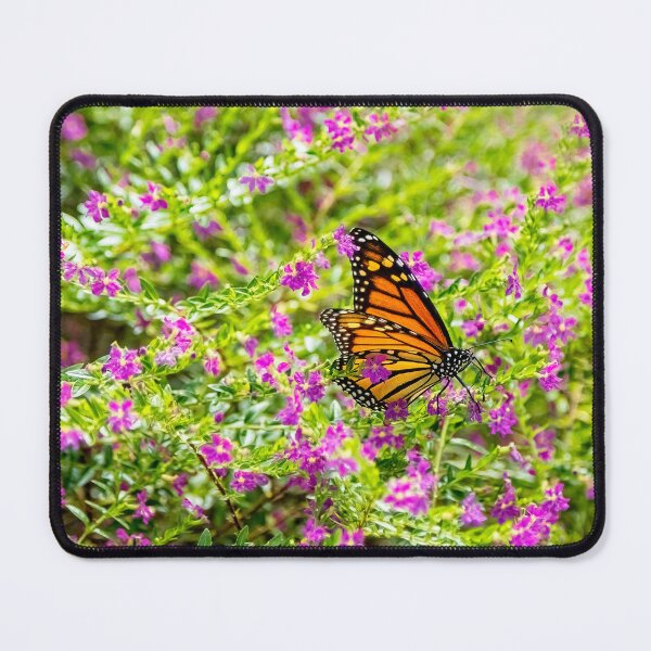 Item preview, The Monarch and Heather designed and sold by Kay Brewer.