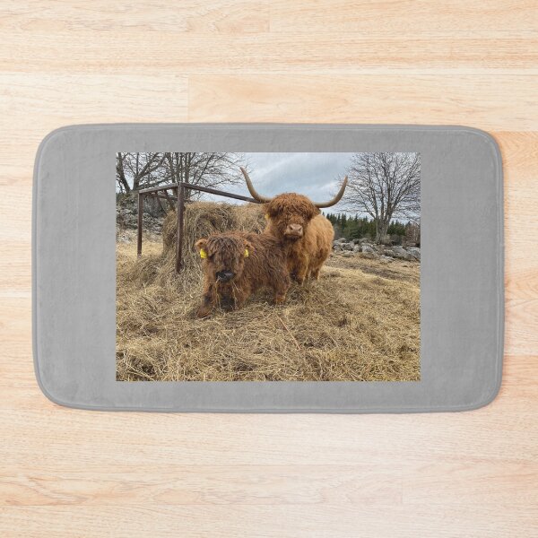 Item preview, Scottish Highland Cattle Cow and calf 4400 designed and sold by SaarelaHighland.