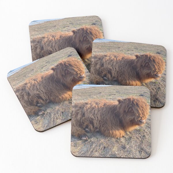 Item preview, Scottish Highland Cattle Calf 4402 designed and sold by SaarelaHighland.