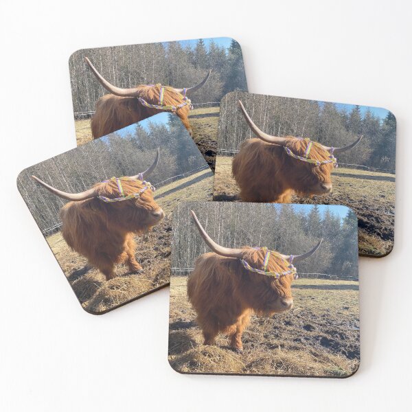 Item preview, Scottish Highland Cattle Cow 4406 designed and sold by SaarelaHighland.