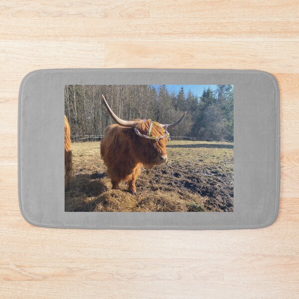 Item preview, Scottish Highland Cattle Cow 4406 designed and sold by SaarelaHighland.