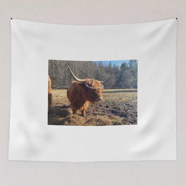 Item preview, Scottish Highland Cattle Cow 4406 designed and sold by SaarelaHighland.