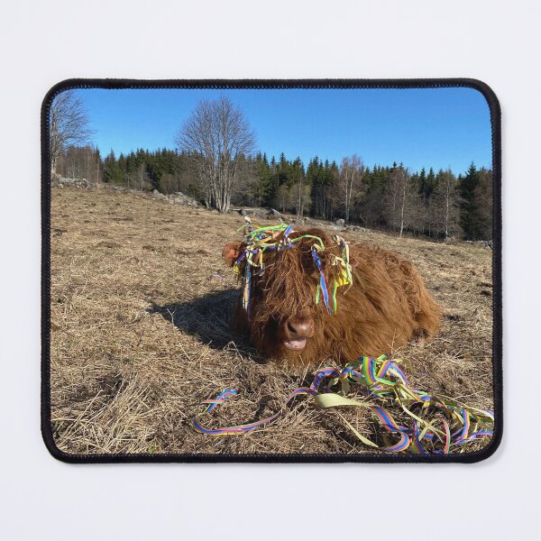 Item preview, Scottish Highland Cattle Calf 4407 designed and sold by SaarelaHighland.