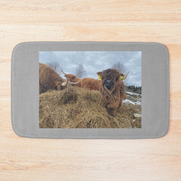 Item preview, Scottish Highland Cattle Calf 4410 designed and sold by SaarelaHighland.