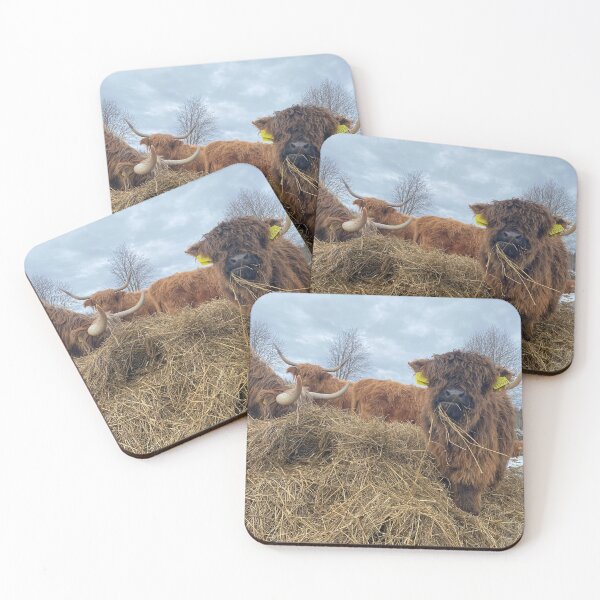 Item preview, Scottish Highland Cattle Calf 4410 designed and sold by SaarelaHighland.