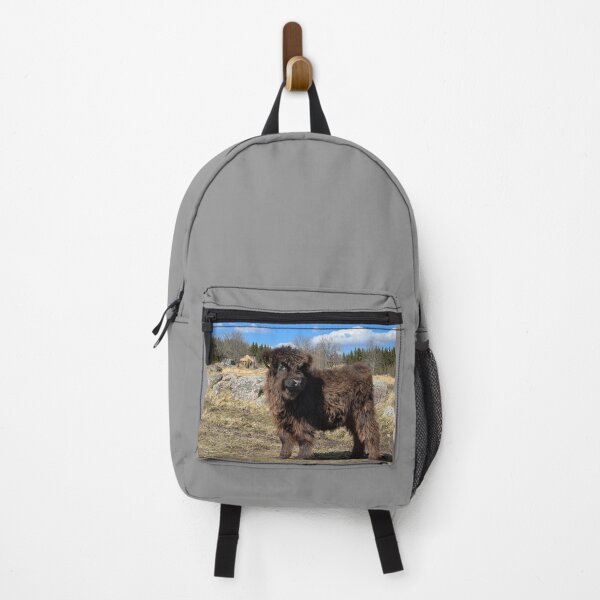 Item preview, Scottish Highland Cattle Calf 4413 designed and sold by SaarelaHighland.