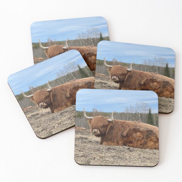 Item preview, Scottish Highland Cattle Cow 4414 designed and sold by SaarelaHighland.