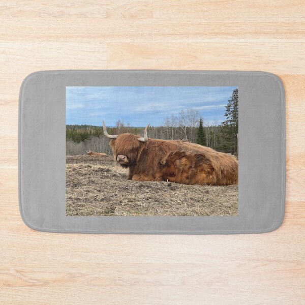 Item preview, Scottish Highland Cattle Cow 4414 designed and sold by SaarelaHighland.