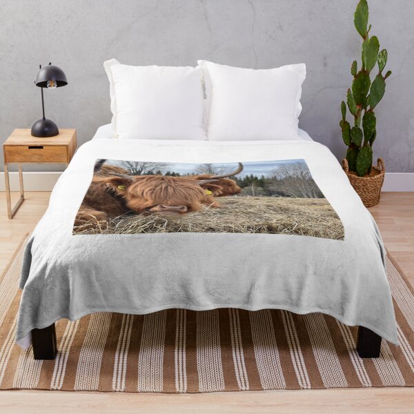 Item preview, Scottish Highland Cattle Cow 4417 designed and sold by SaarelaHighland.