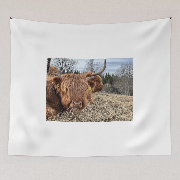 Item preview, Scottish Highland Cattle Cow 4417 designed and sold by SaarelaHighland.