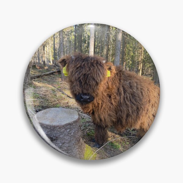 Item preview, Scottish Highland Cattle Calf 4419 designed and sold by SaarelaHighland.