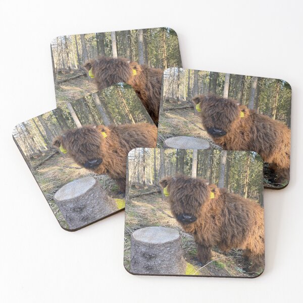 Item preview, Scottish Highland Cattle Calf 4419 designed and sold by SaarelaHighland.
