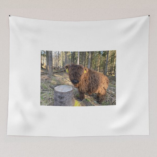 Item preview, Scottish Highland Cattle Calf 4419 designed and sold by SaarelaHighland.