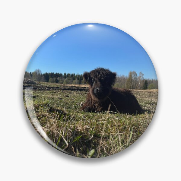 Item preview, Scottish Highland Cattle Calf 4420 designed and sold by SaarelaHighland.