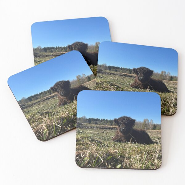 Item preview, Scottish Highland Cattle Calf 4420 designed and sold by SaarelaHighland.